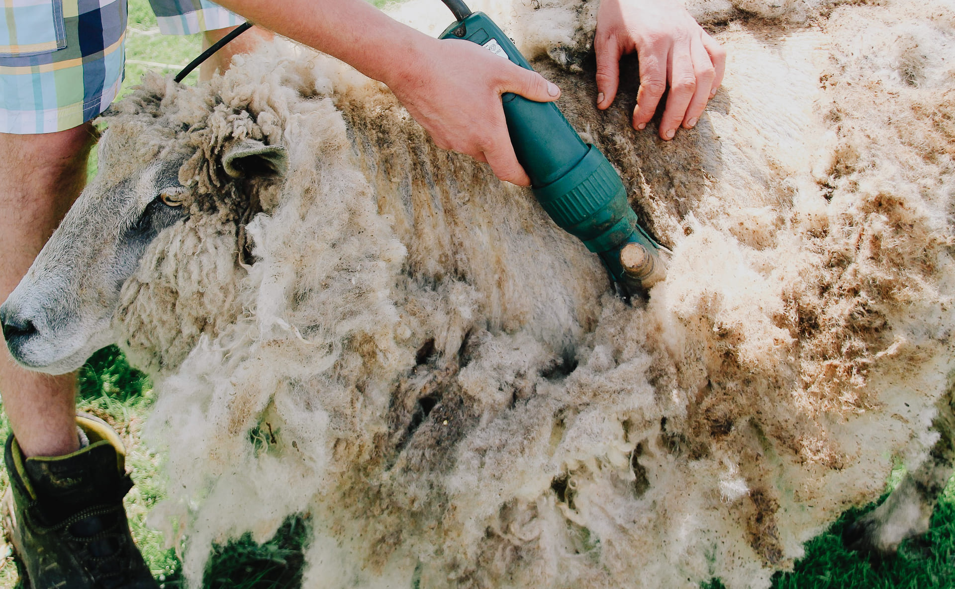 Contact Meet the makers